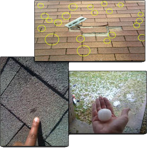 PRO TOP Roofing Images