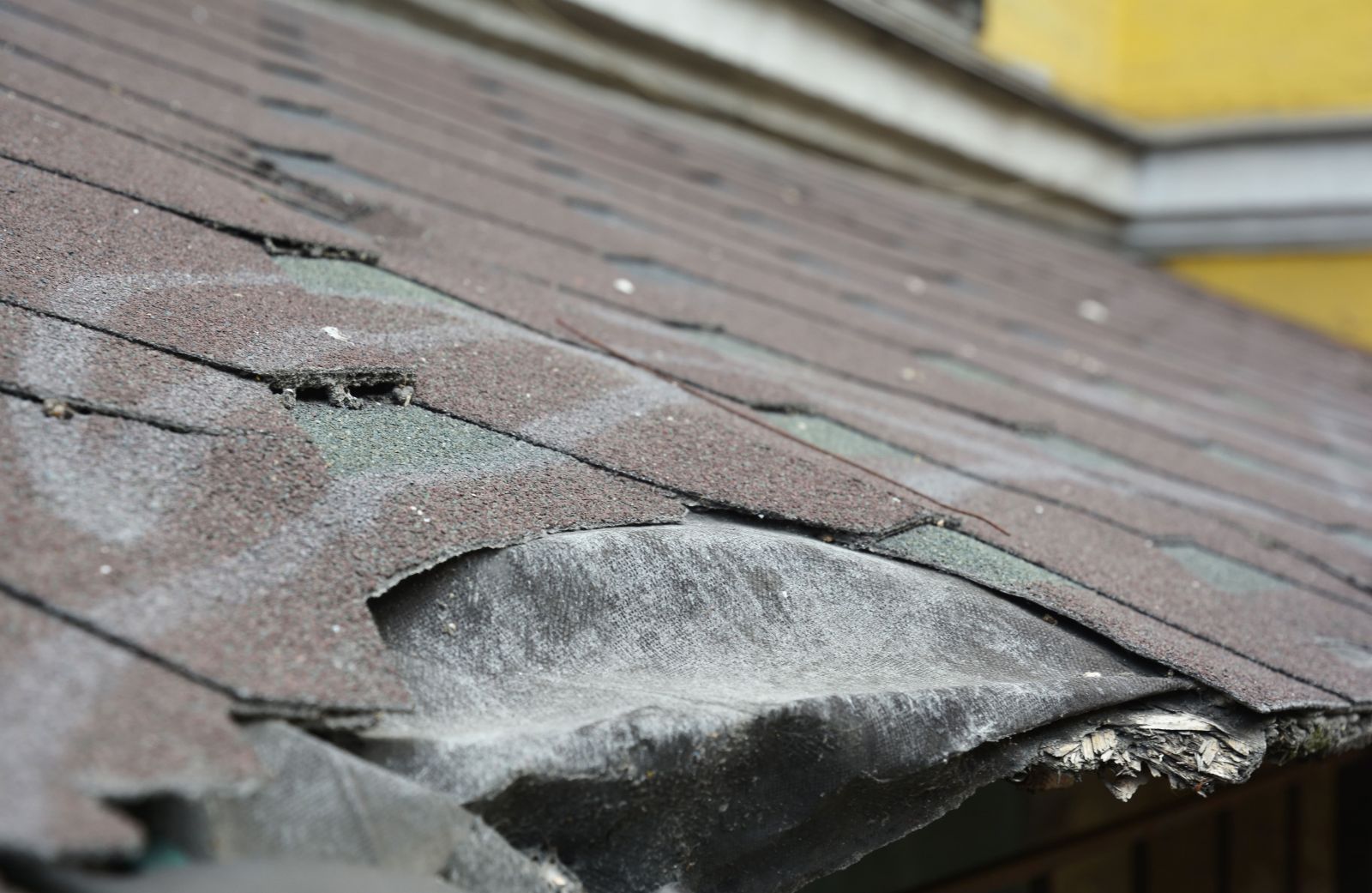 PRO TOP Roofing Images