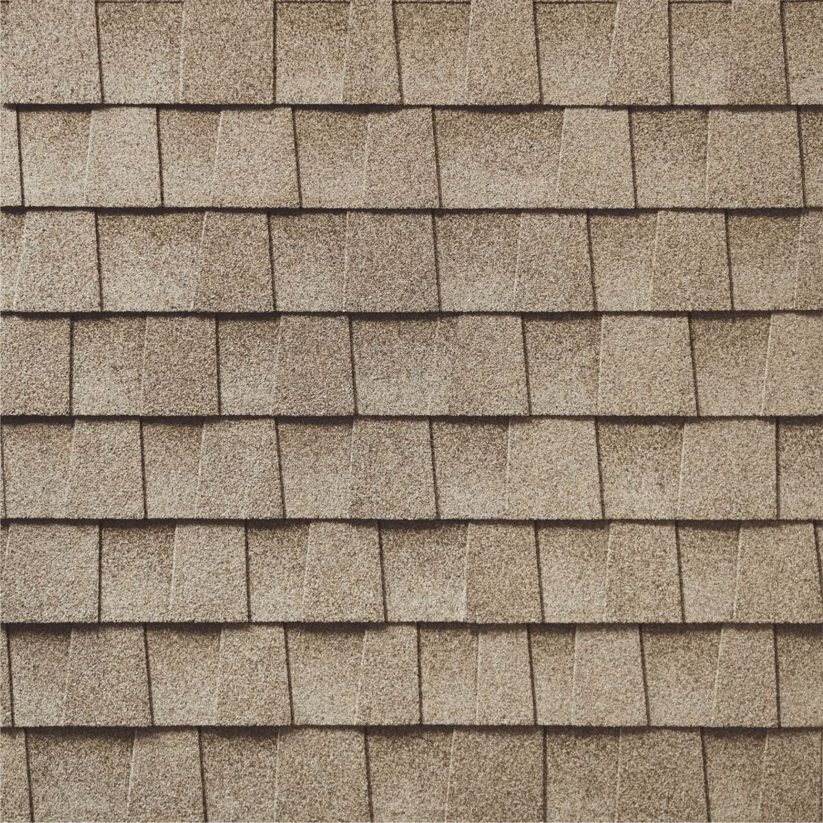 PRO TOP Roofing Images