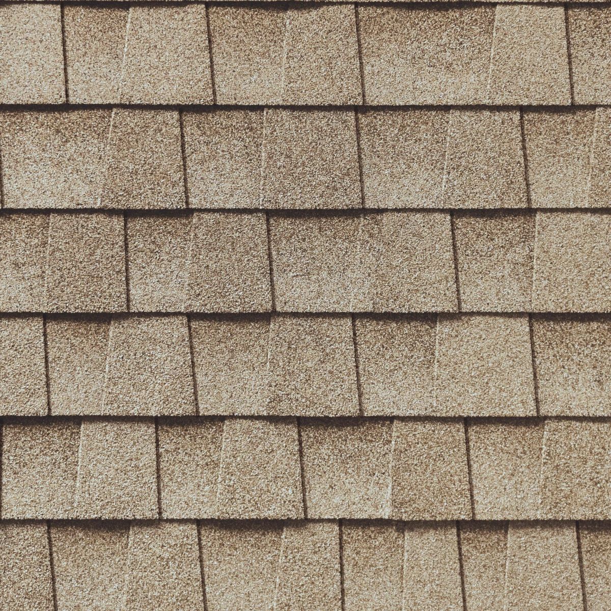 PRO TOP Roofing Images