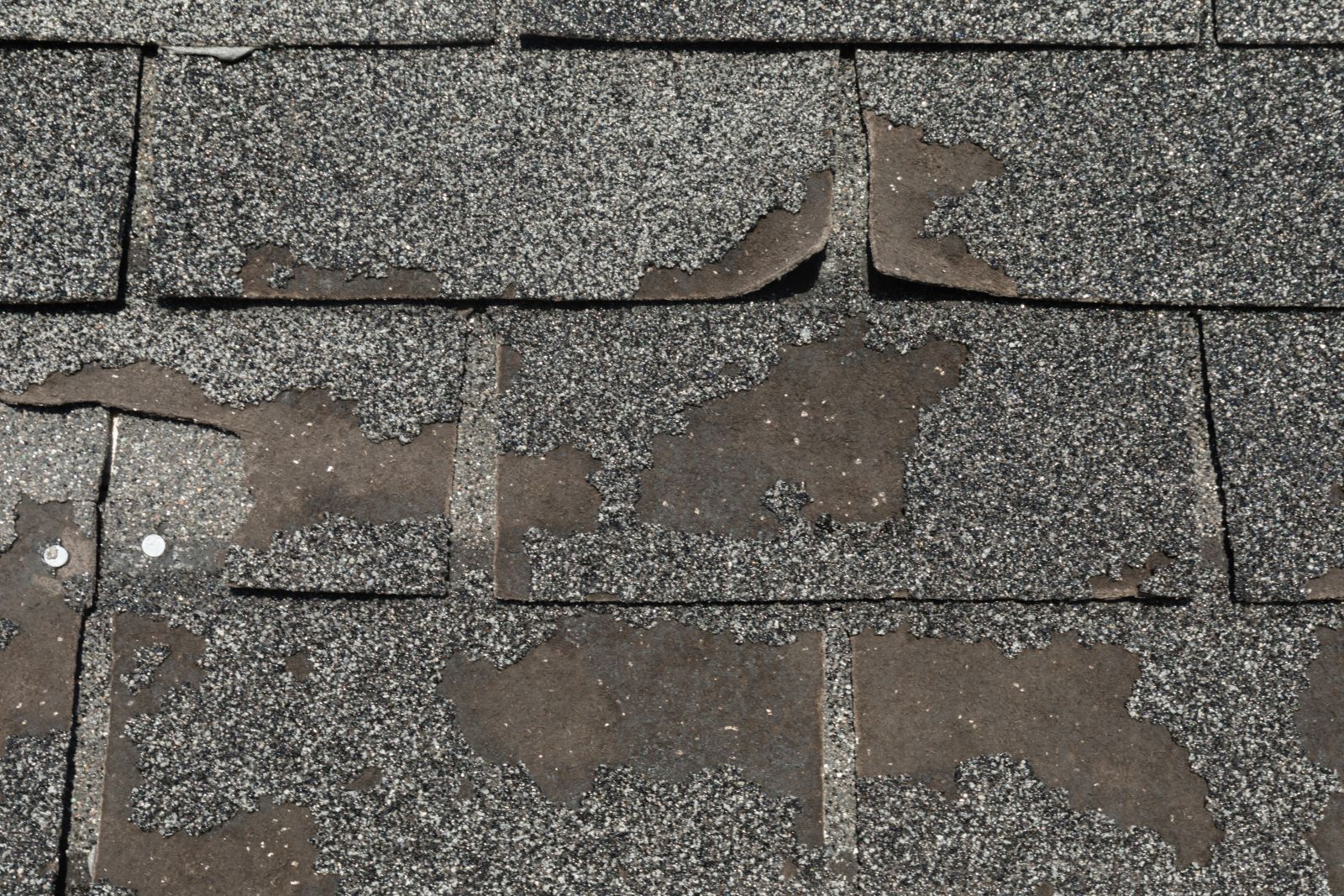 PRO TOP Roofing Images